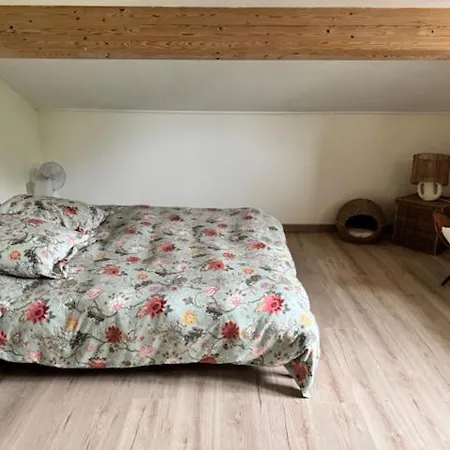 Maison Campagne Lyonnaise 8-14 Pers Saint-Pierre-de-Chandieu